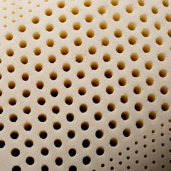 Sunset talalay clearance latex pillow