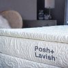 POSH+LAVISH PROVIDENCE 2" TRUE PILLOW TOP