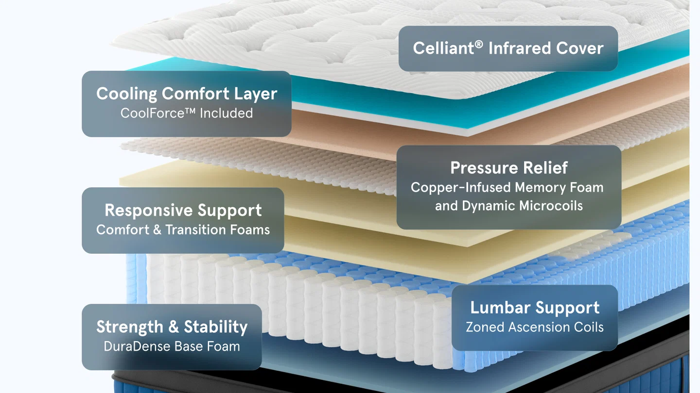 Bear Elite Ultra Hybrid construction layers