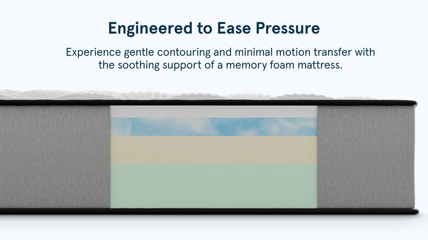 Bear Pro Foam pressure relief