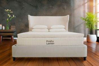 Posh+Lavish AuNaturale Chic 3-inch True Pillow Top mattress