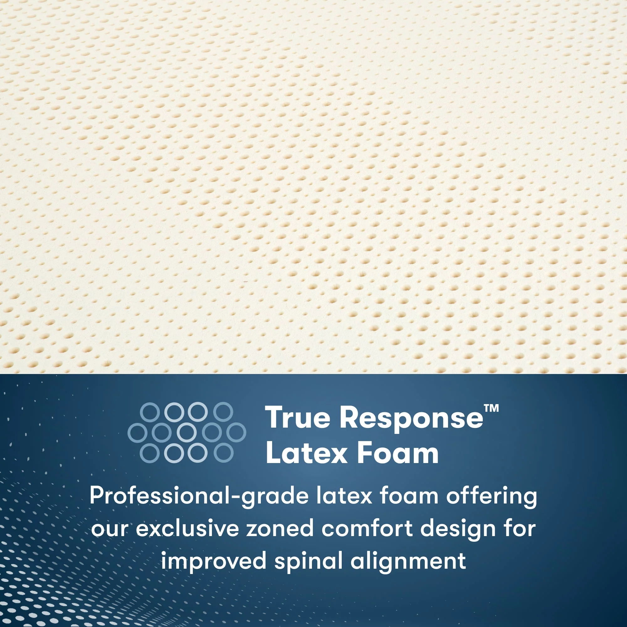 Serta Perfect Sleeper Pro - TrueResponse component